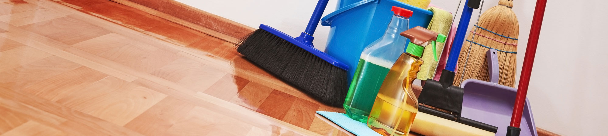 Domestic cleaning equipment