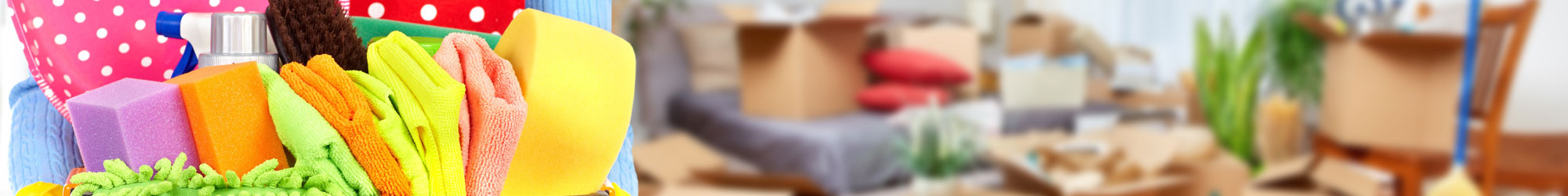 Domestic cleaning equipment